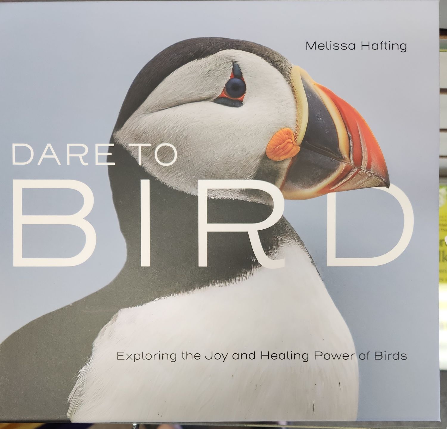 Dare To Bird