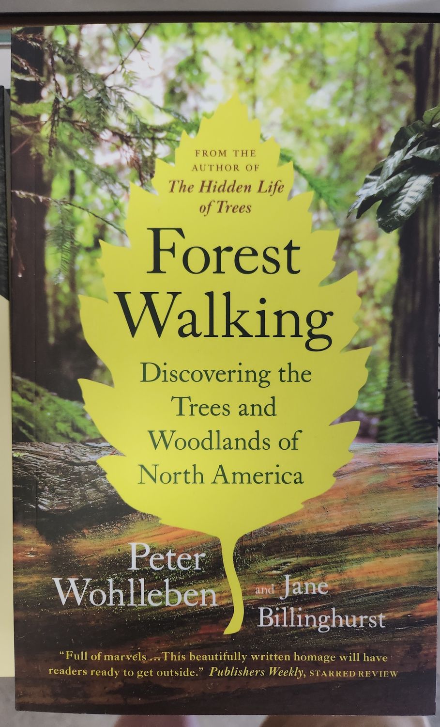 Forest Walking