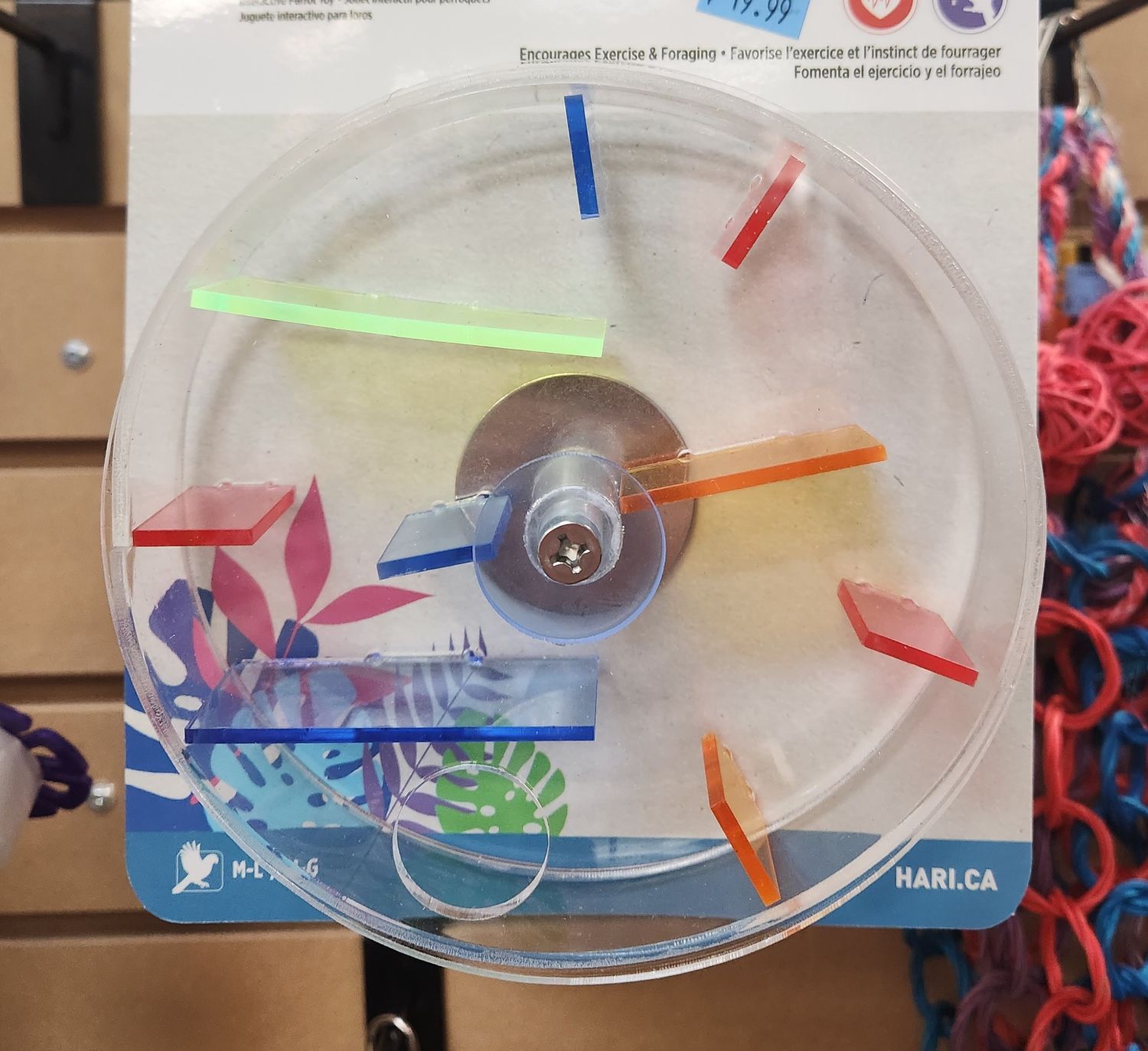 Whirl aTreat