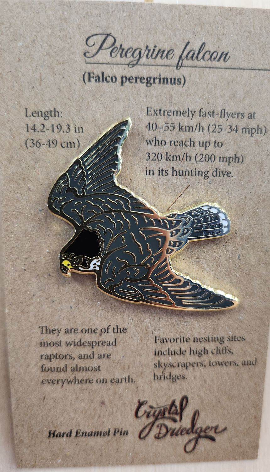 Peregrine Falcon pin