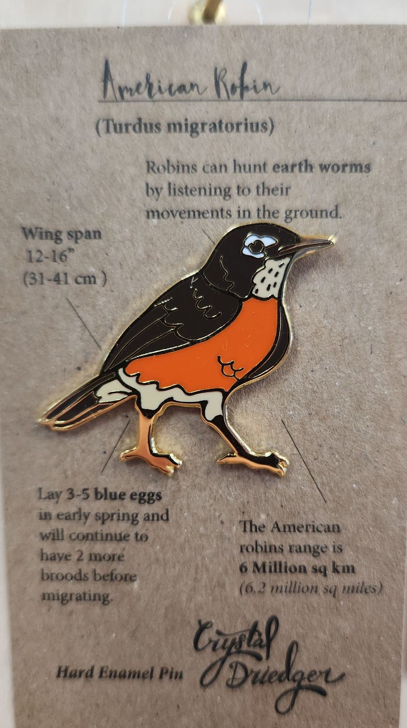 American Robin pin
