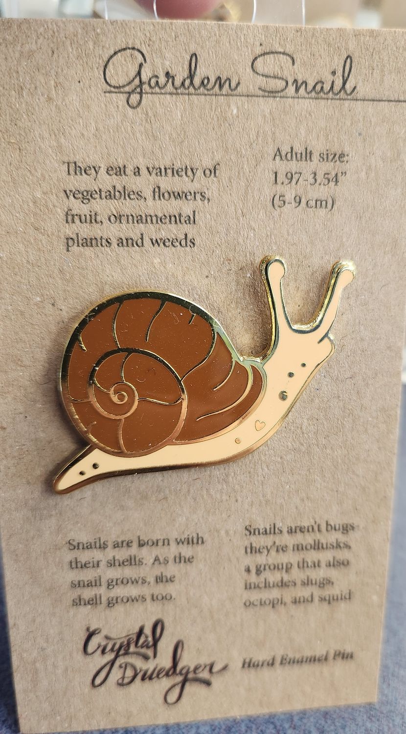 Garden Snail
