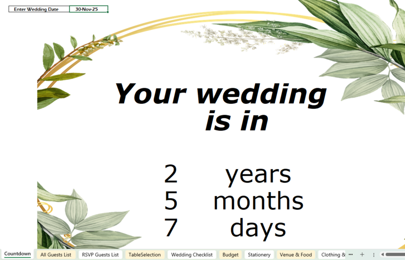 Editable Wedding  Planner Excel Budget Tracker, guest list, seat plan, RSVP and more