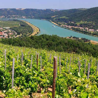 Vallée du Rhône