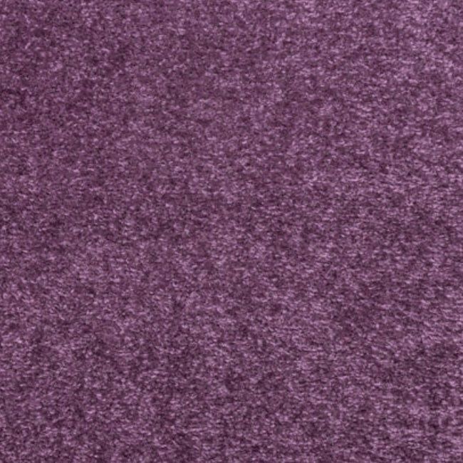 SPRINTER Colour 15 Aubergine