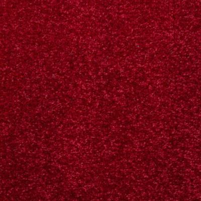 SPRINTER Colour 20 Wine