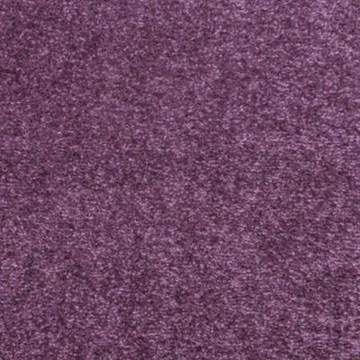 SPRINTER RANGE ONLY £4.99 PER m2