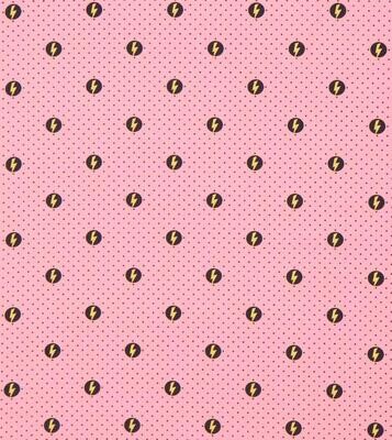 040-ECLAIRS FOND ROSE