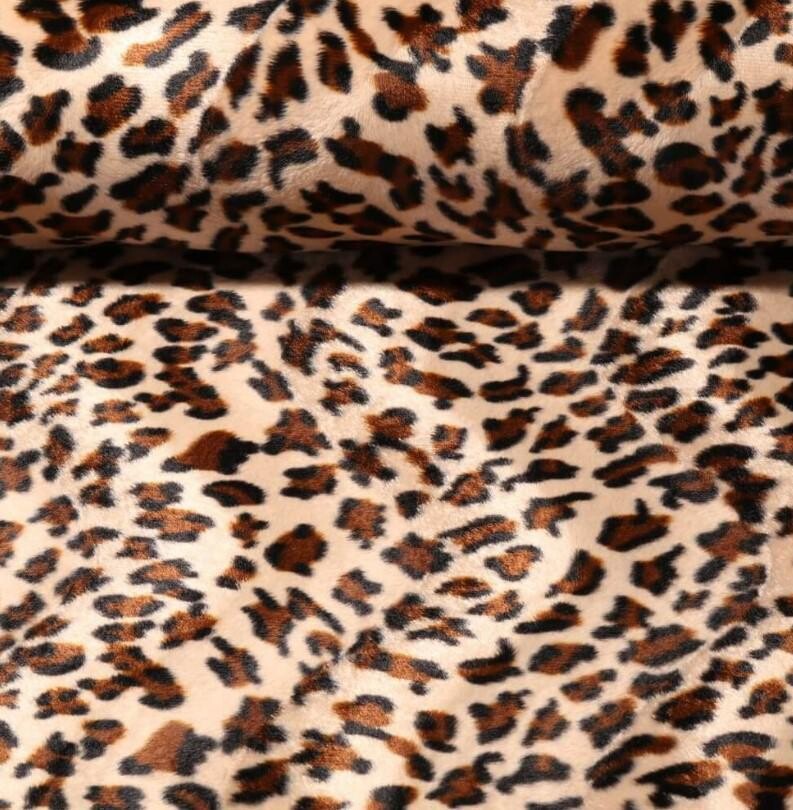 038-LEOPARD