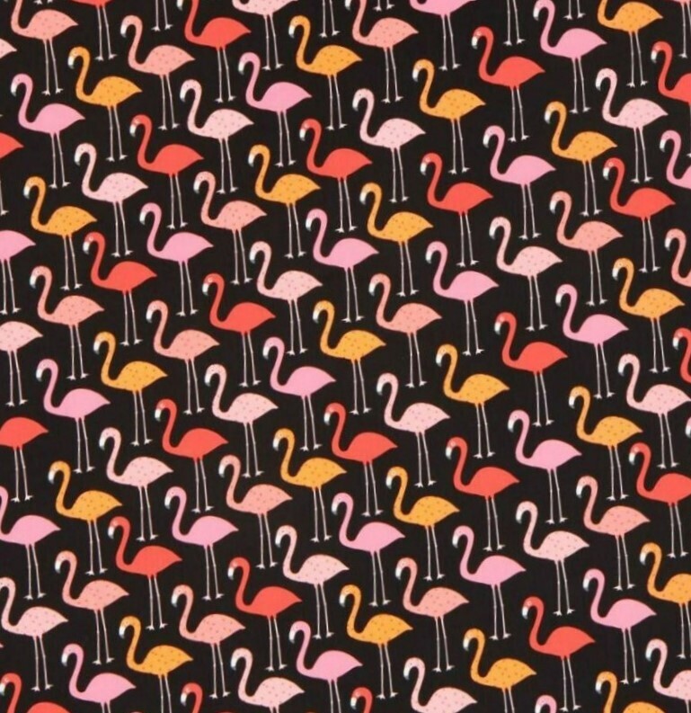 041-FLAMANTS ROSES