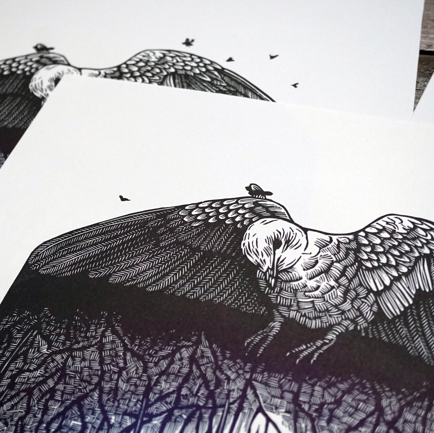 Unwanted / Birdy