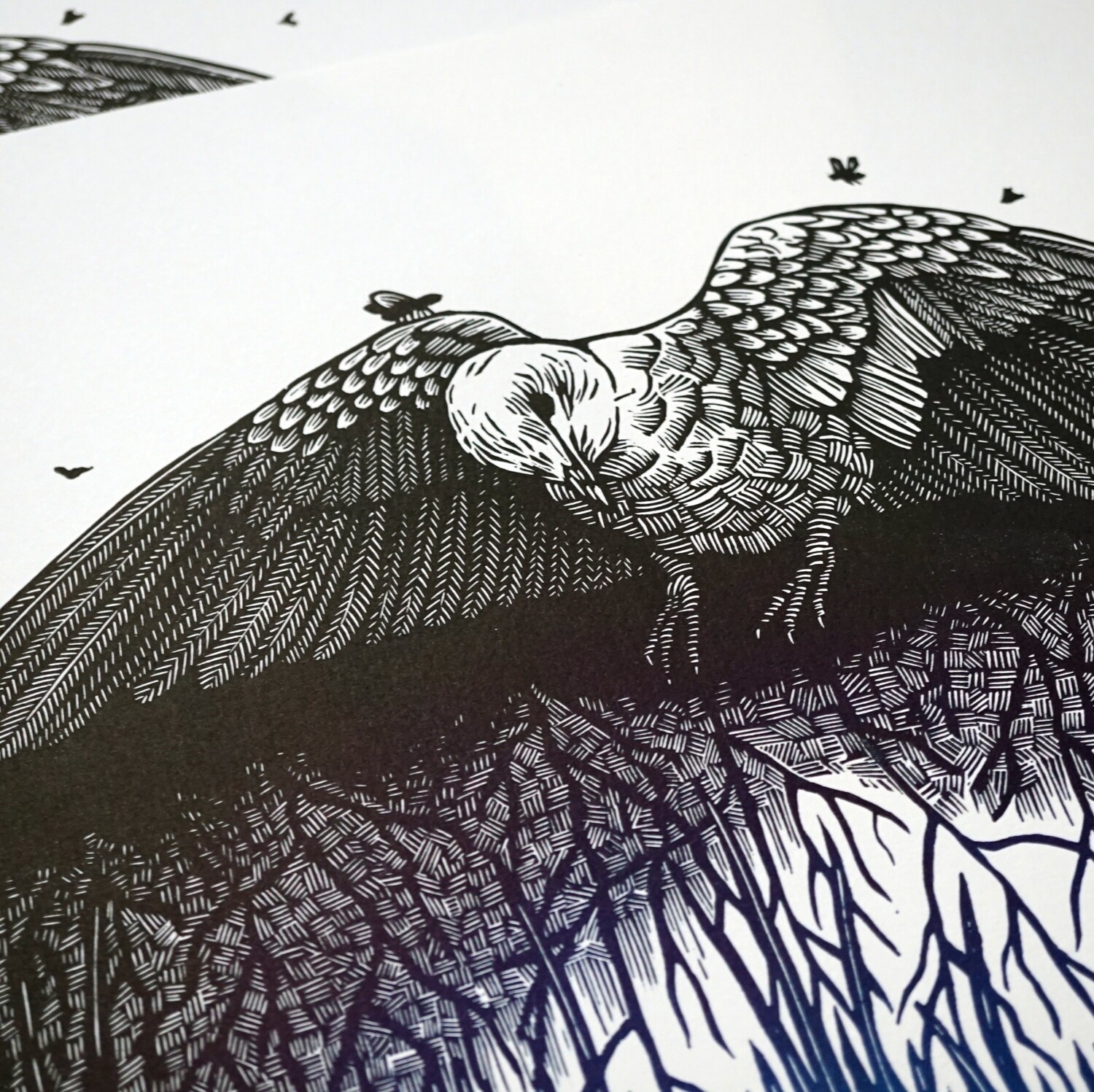 Unwanted / Birdy