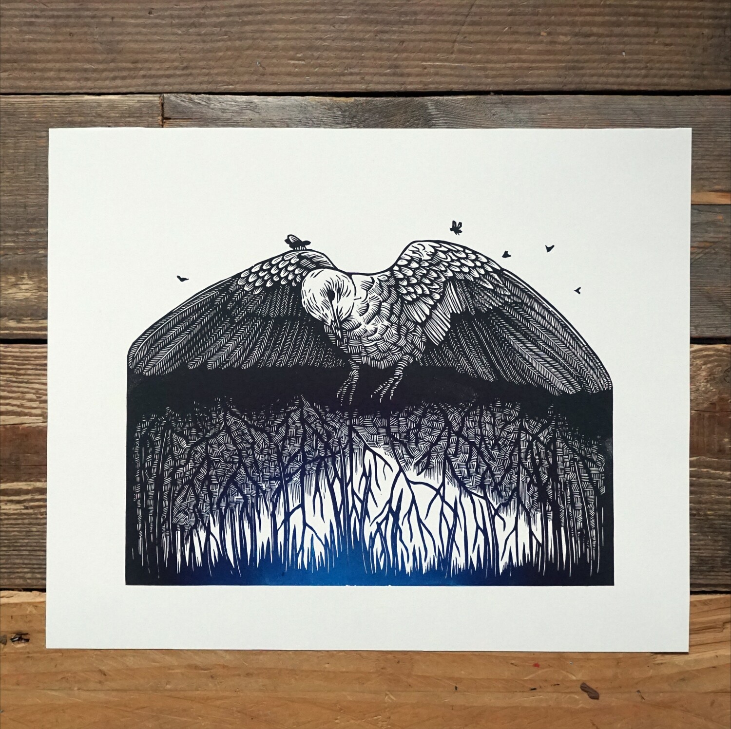 Unwanted / Birdy