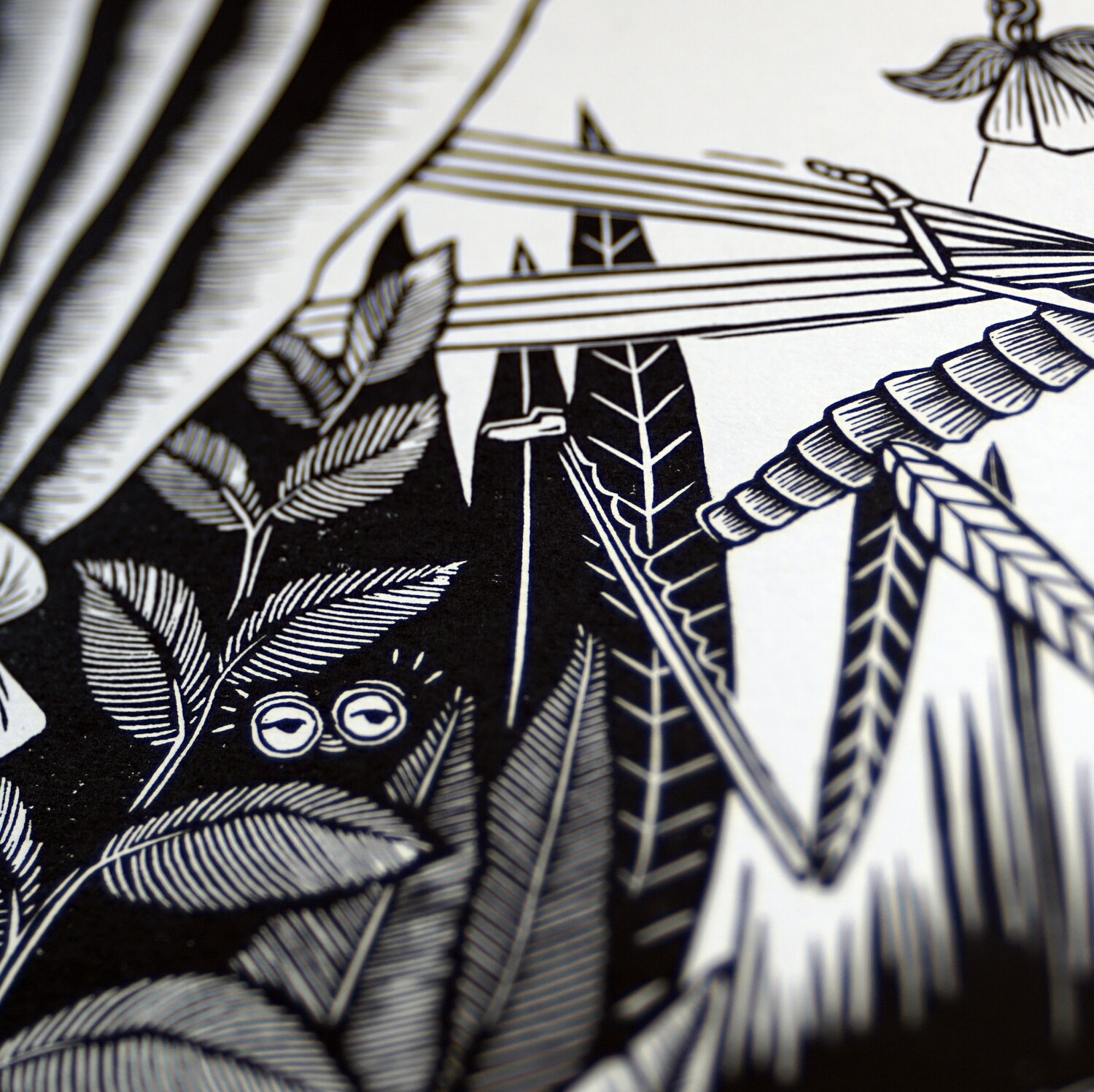 Print / Insect theatre