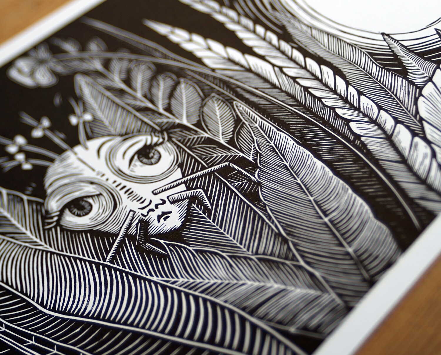 Print / Peekaboo!