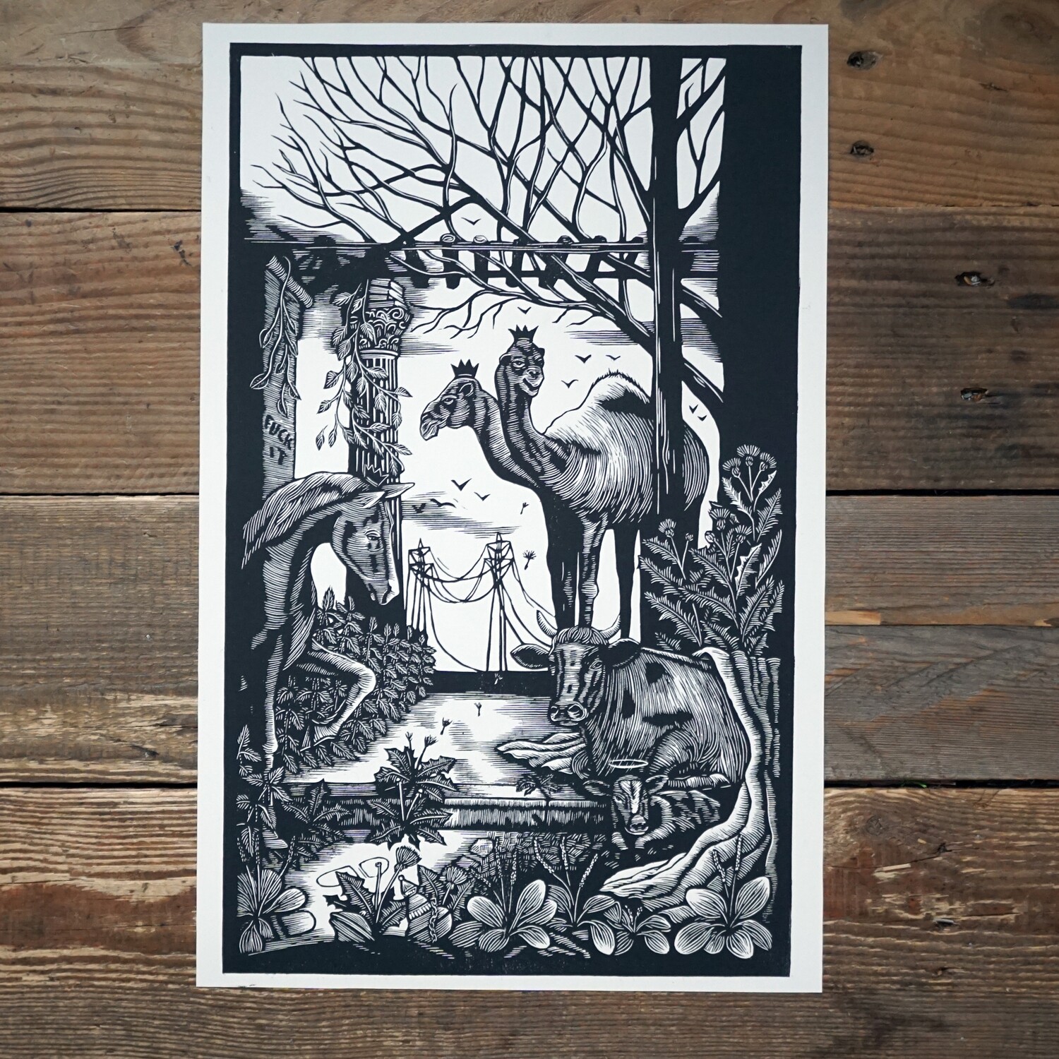Naturalia #1