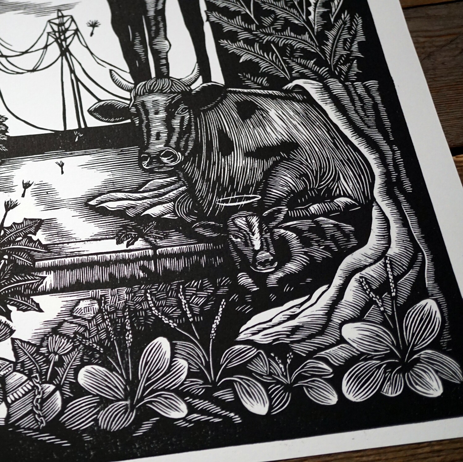 Naturalia #1
