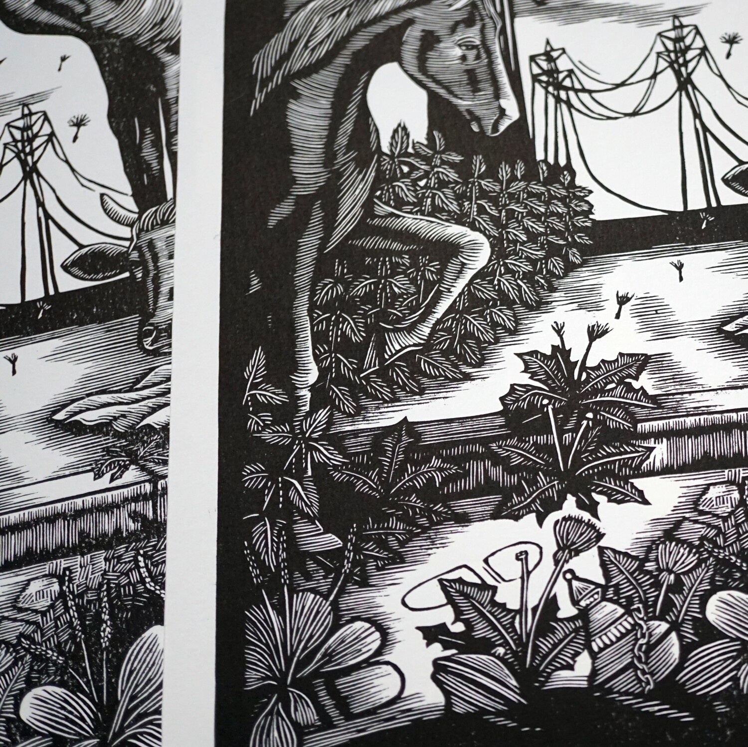 Naturalia #1
