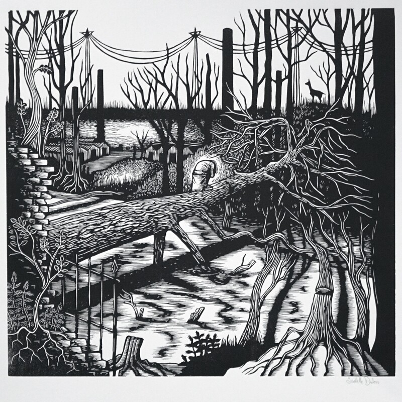 Naturalia - Briqueville