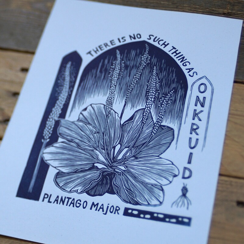 Plantego Major / Blue