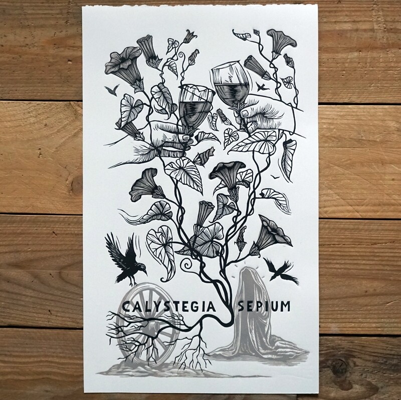 Calystegia Sepium / 2 colors