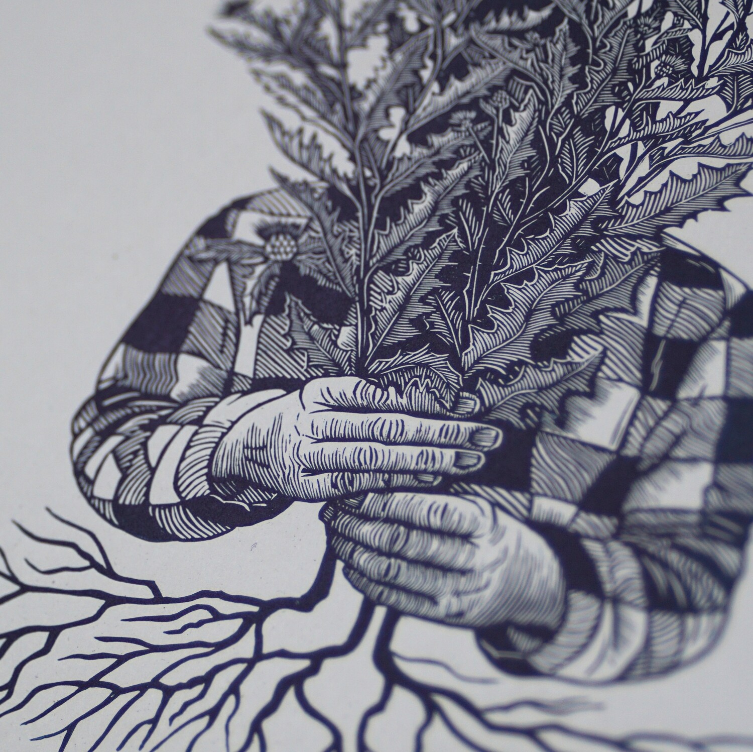 Cirisium Arvense / Thistle