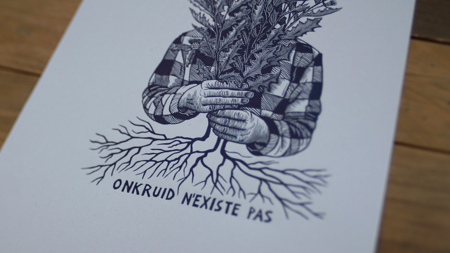 Cirisium Arvense / Thistle