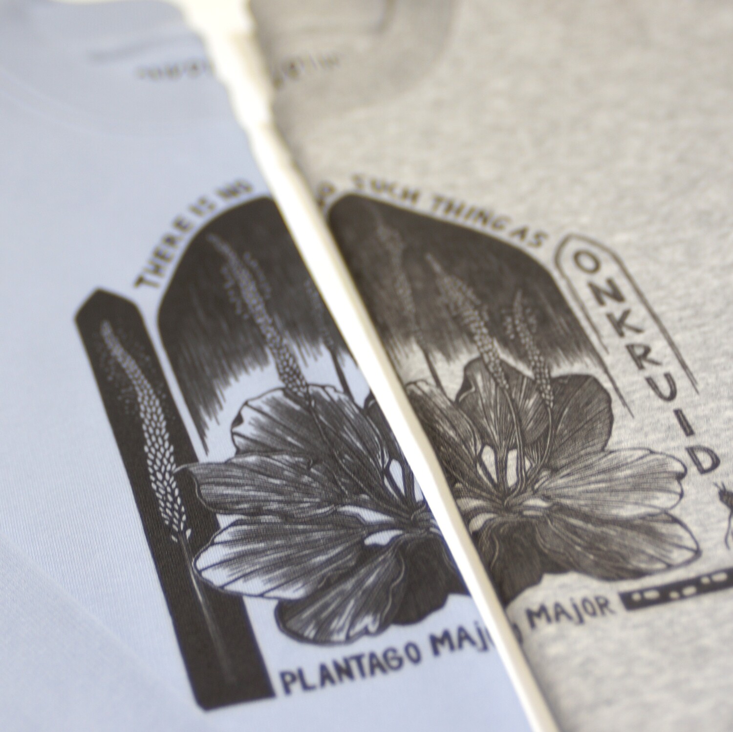 #4 Plantago Mayor /  women&#39;s grey Cropped Pullover