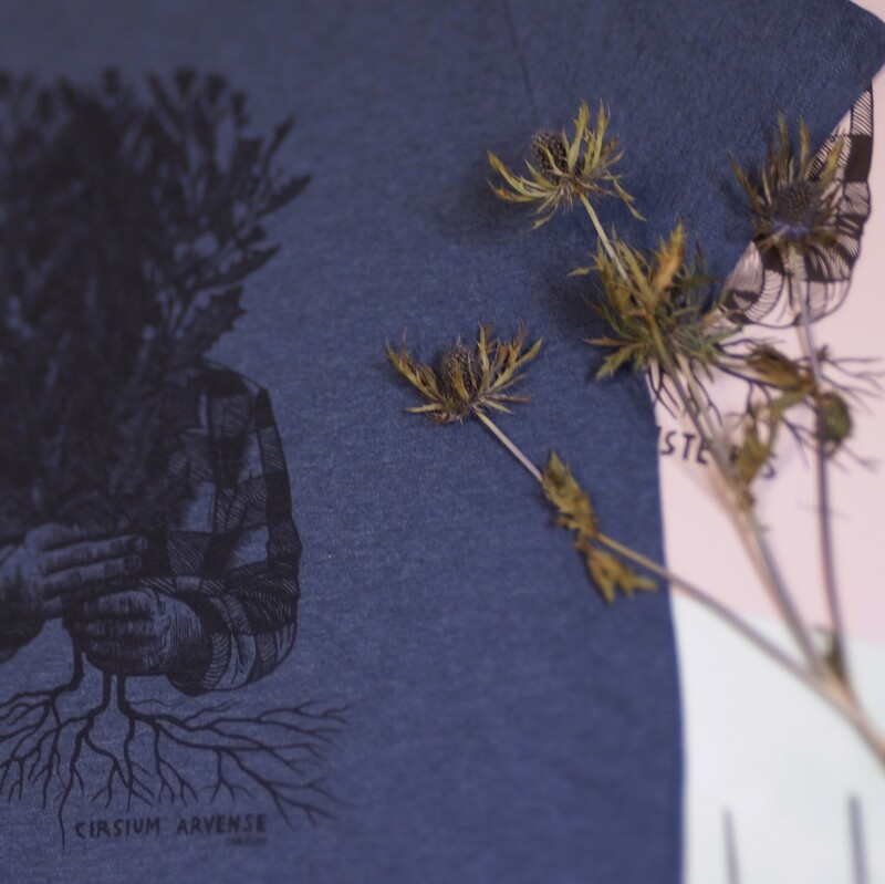 #2 Cirsium arvense / unisex t-shirt Royal Blue