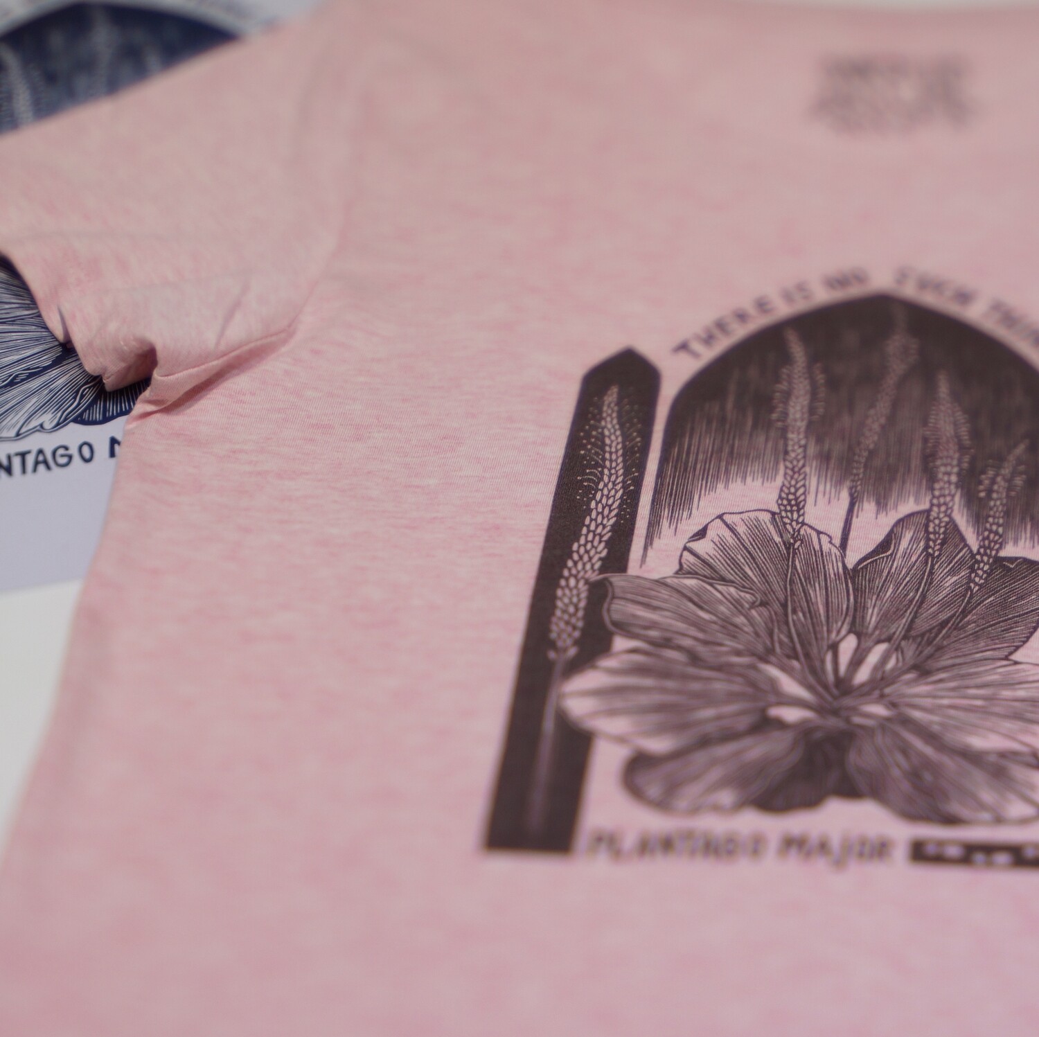 #4 Plantago Mayor/  women&#39;s t-shirt / Cream Pink