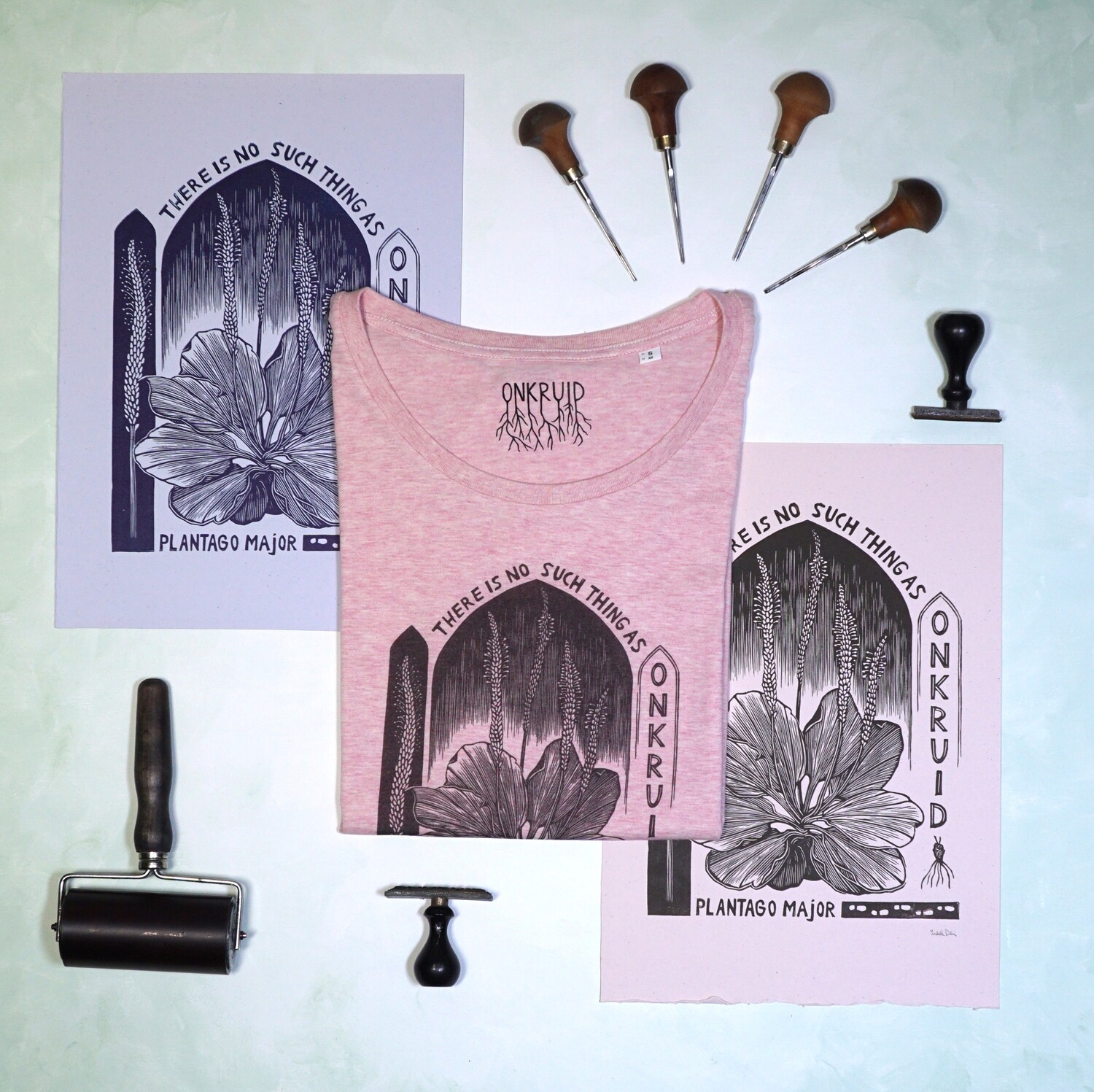 #4 Plantago Mayor/  women&#39;s t-shirt / Cream Pink