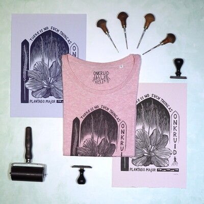 Plantago Mayor/ T-shirt / Cream Pink