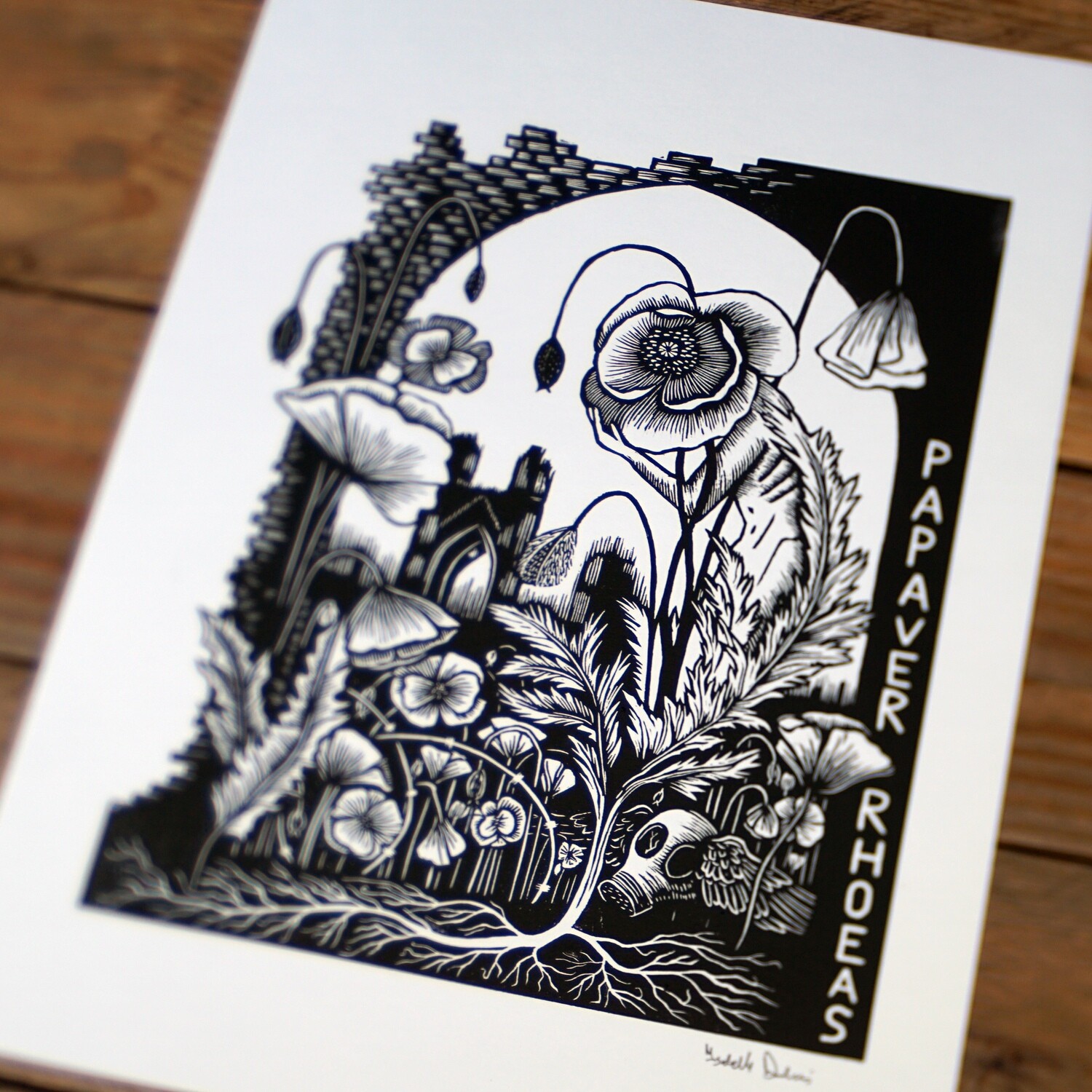 Papaver Rhoeas / Black and White