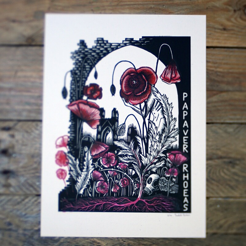 Papaver Rhoeas / Black and Red