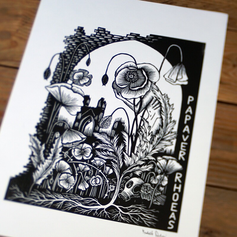 Papaver Rhoeas / Black and White