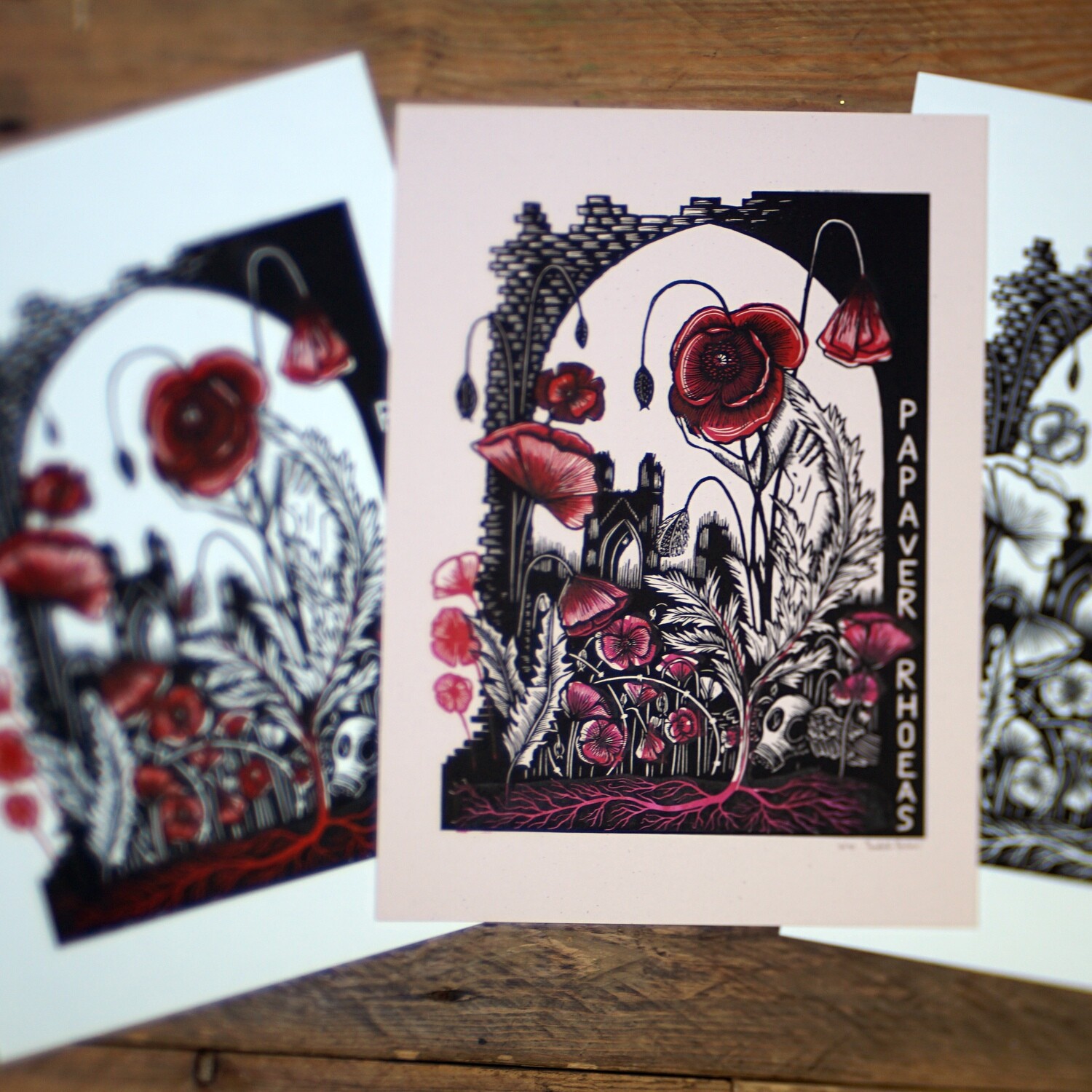 Papaver Rhoeas / Black and Red