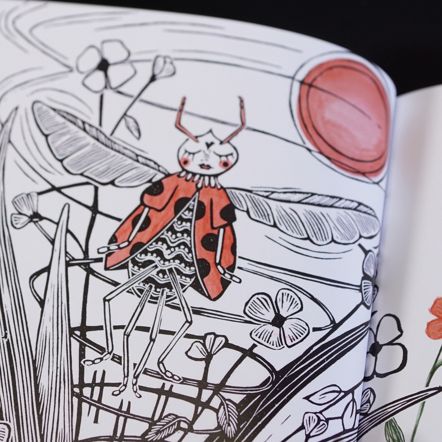 Boek / Prachtig krachtig /Hardcover