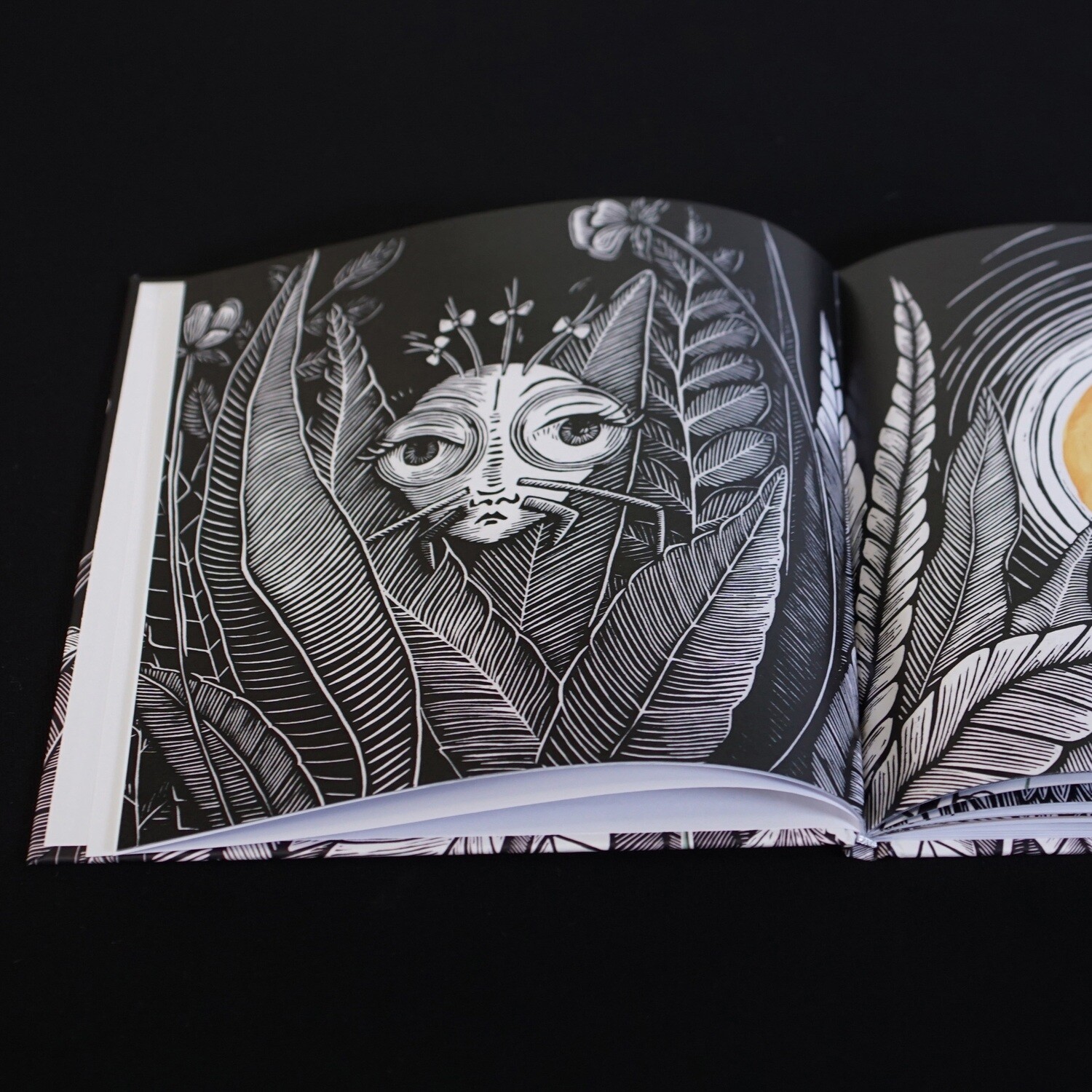 Boek / Prachtig krachtig /Hardcover