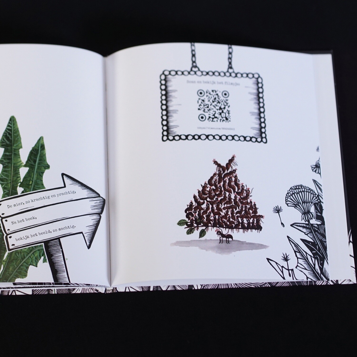 Boek / Prachtig krachtig /Hardcover