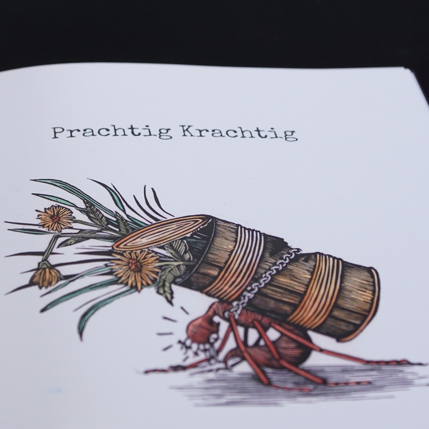 Boek / Prachtig krachtig /Hardcover