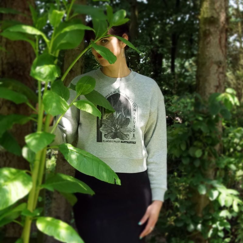#4 Plantago Mayor /  women's grey Cropped Pullover