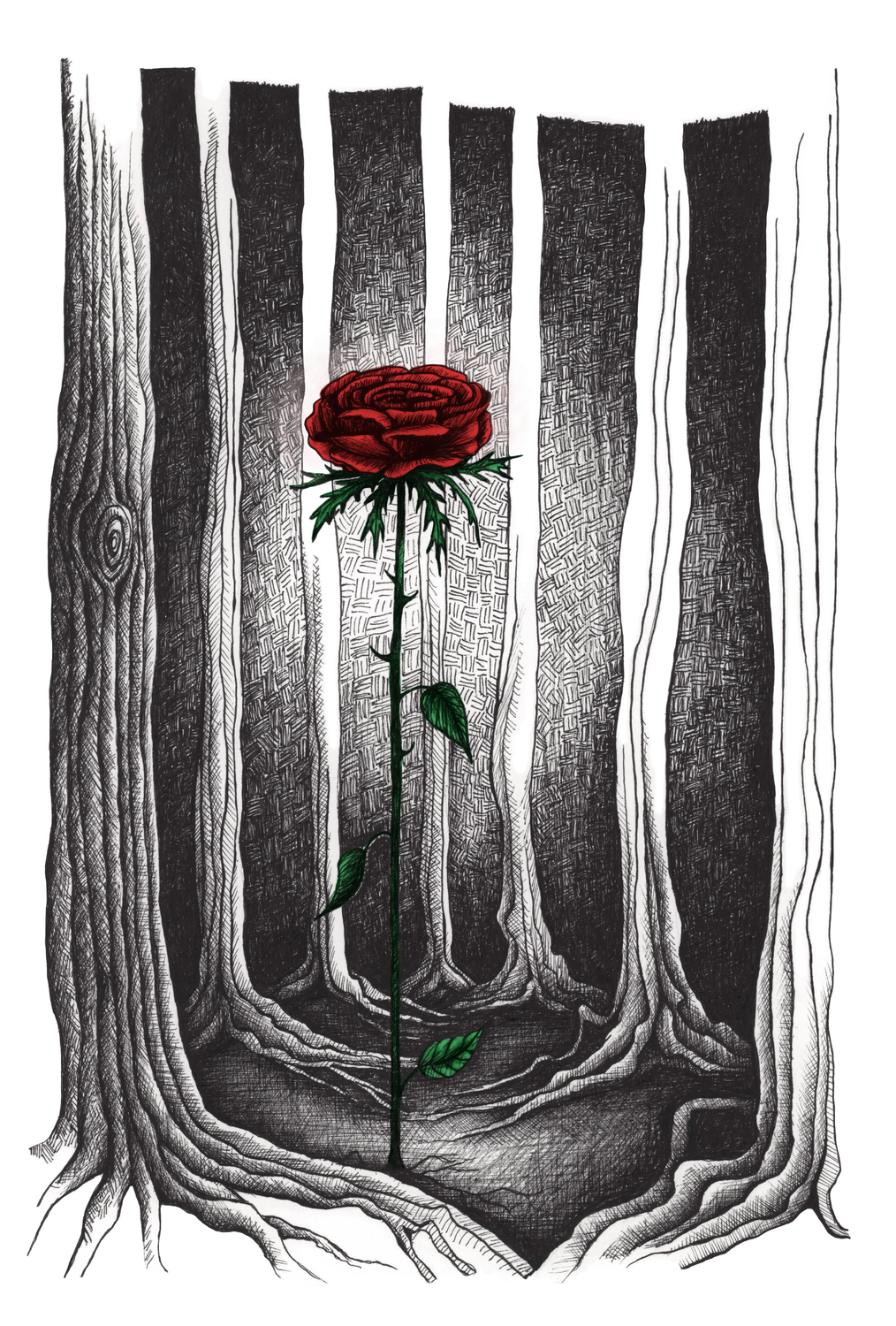 Book illustrations &#39;adult fairytales&#39;