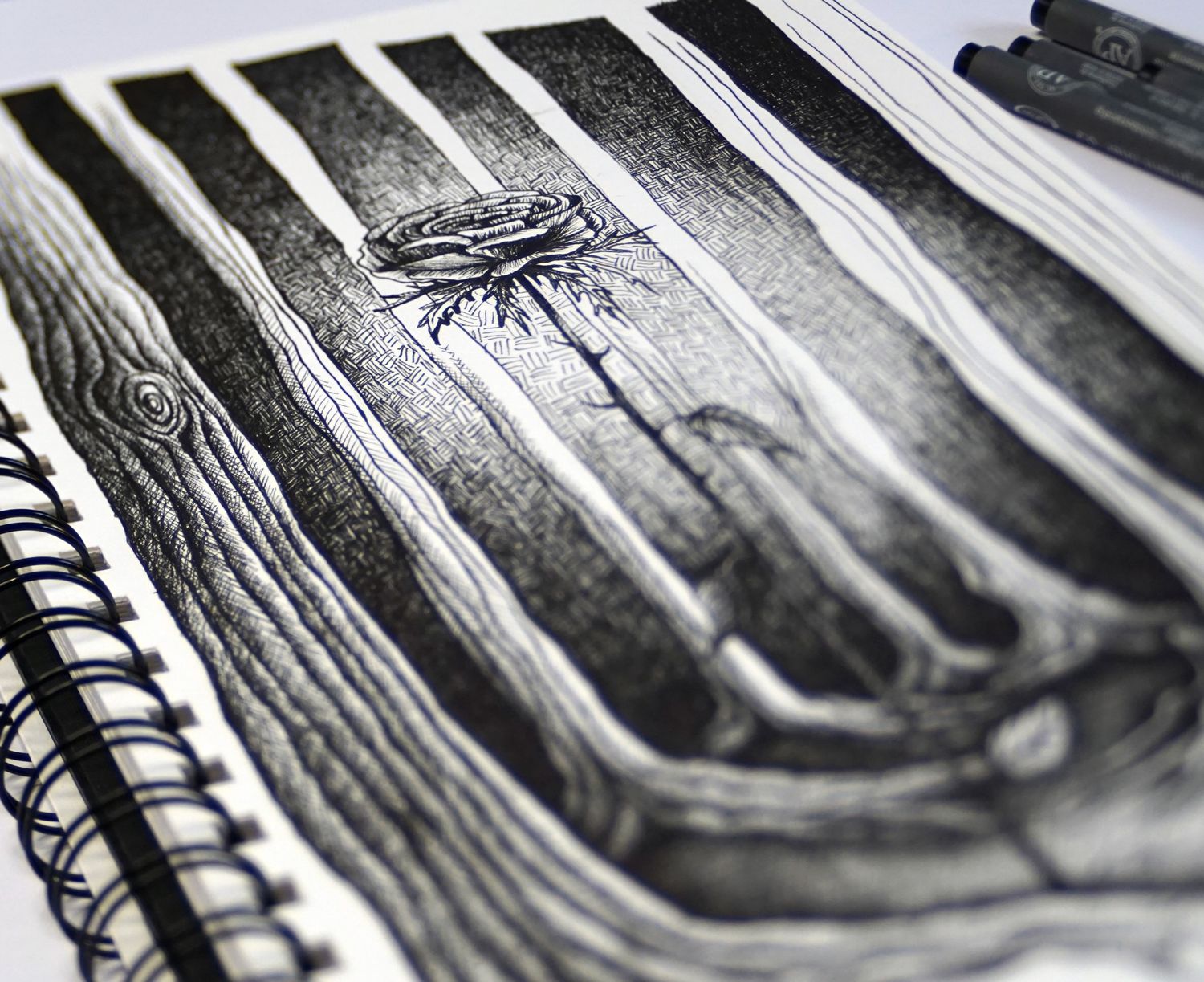 Book illustrations &#39;adult fairytales&#39;
