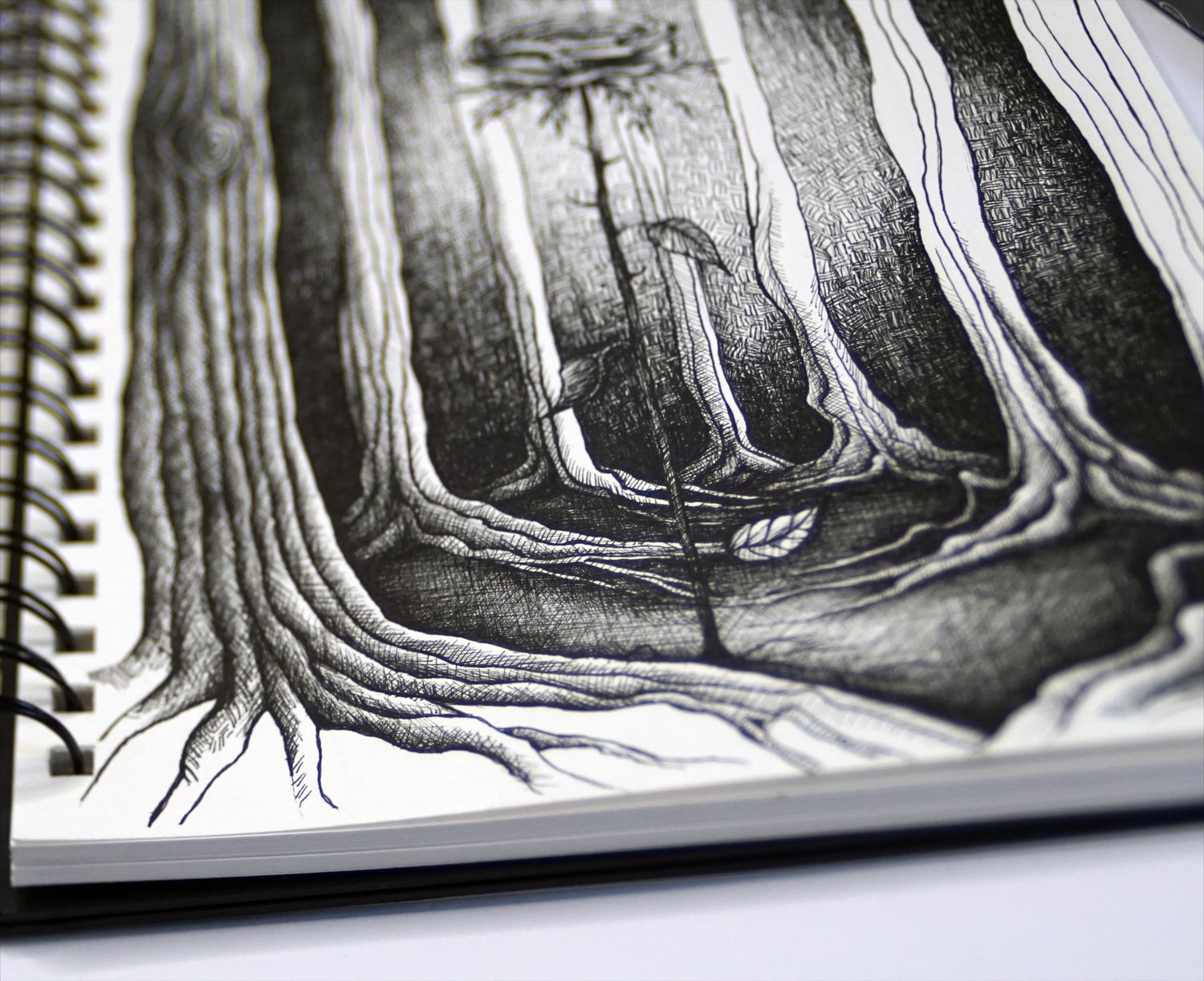 Book illustrations &#39;adult fairytales&#39;
