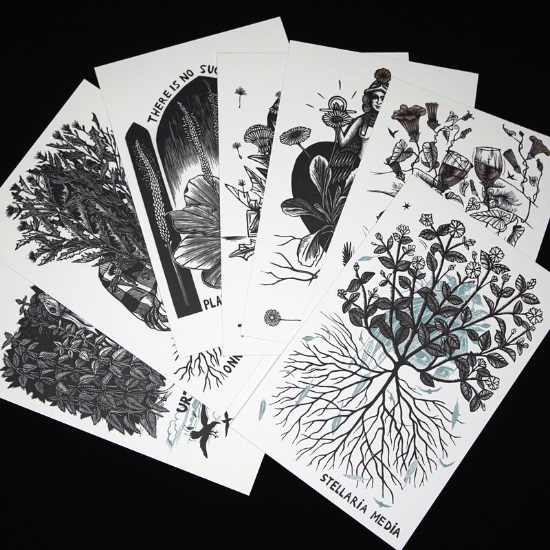 Set of 7 cards