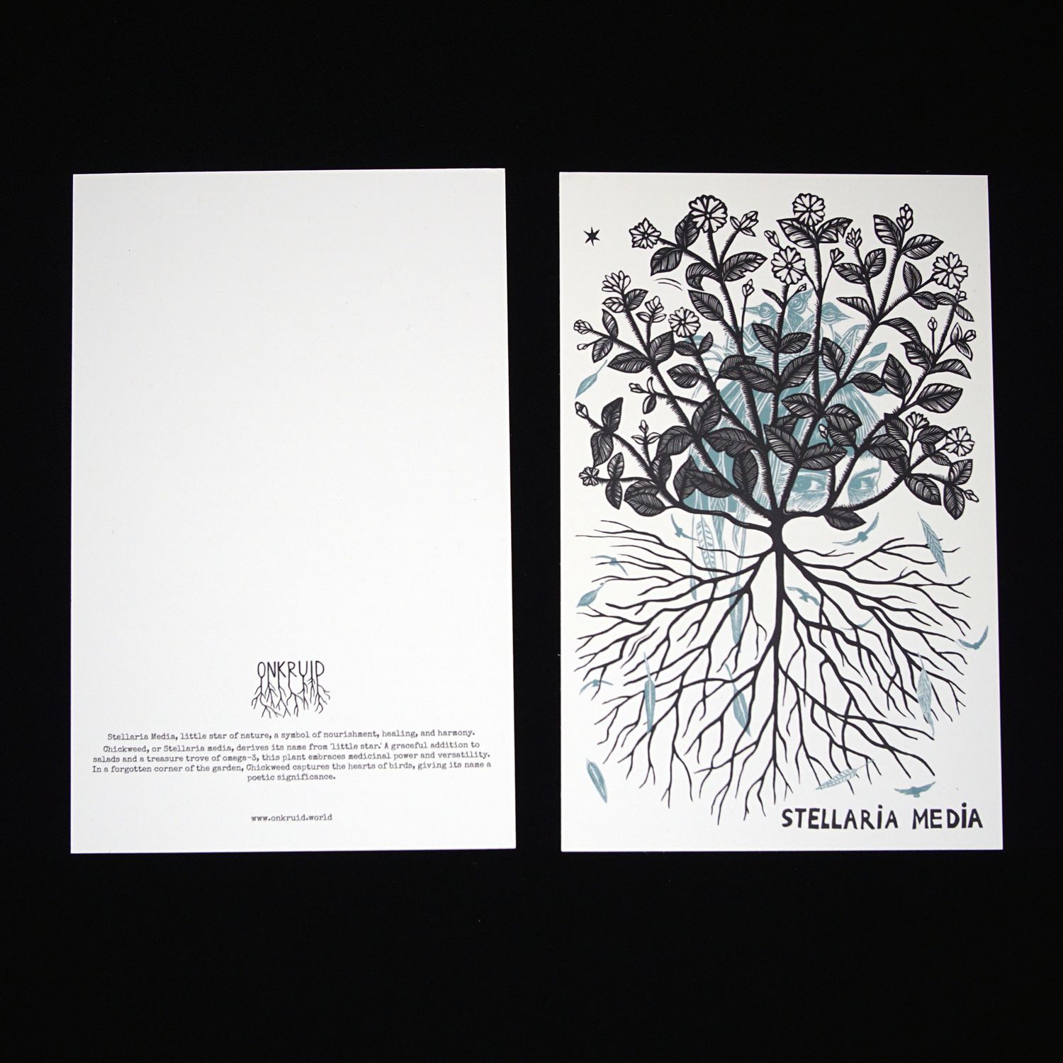 Set of 7 cards