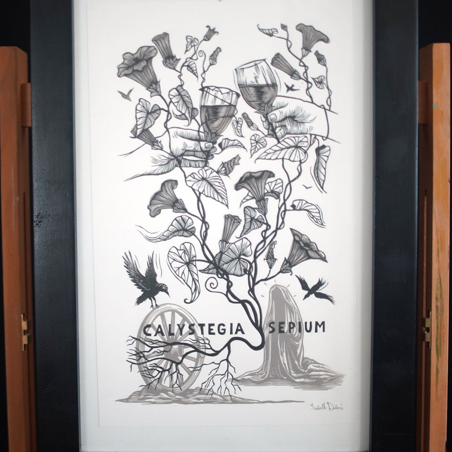 Calystegia Sepium / 2 colors