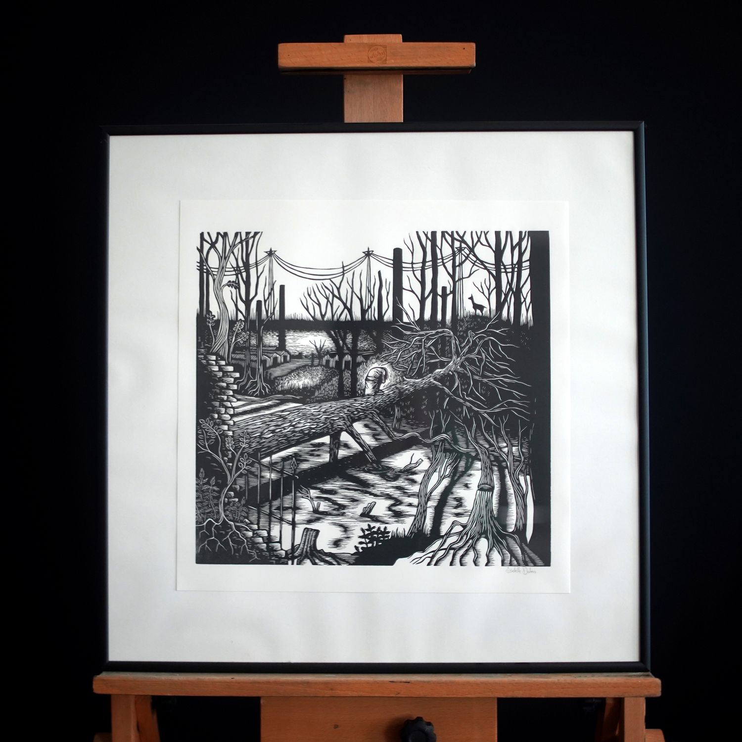 Naturalia - Briqueville