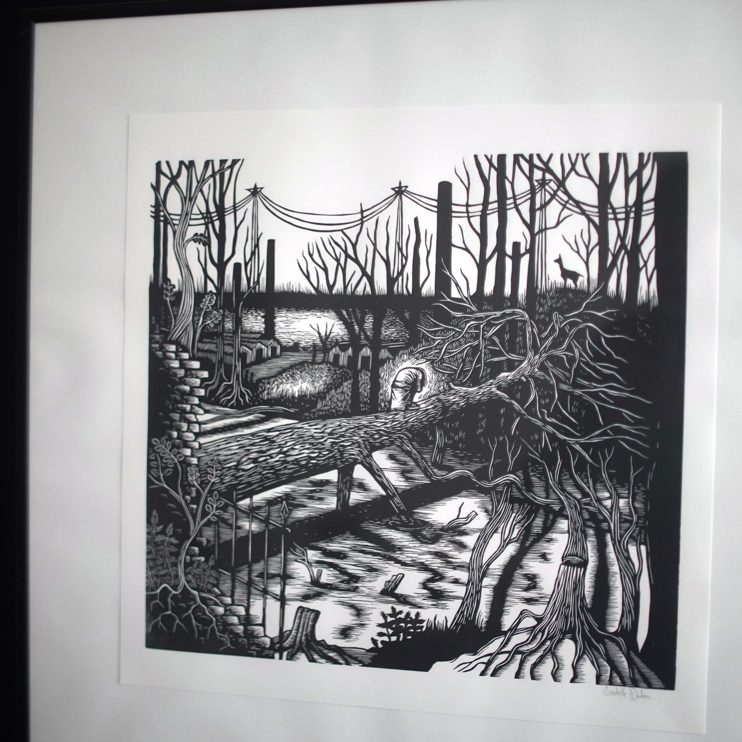 Naturalia - Briqueville