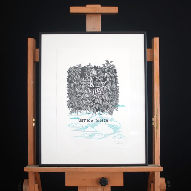 Urtica dioica / Nettle / Blue clouds